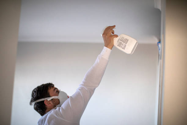 Best Mold Remediation  in Hopkins, MN